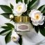 基因港 Whitening Hydrate Cream Mask — authentic Hong Kong health & beauty
