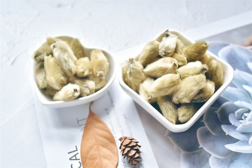 High tea養生 Magnolia Buds (50g/1pc) — authentic Hong Kong health & beauty