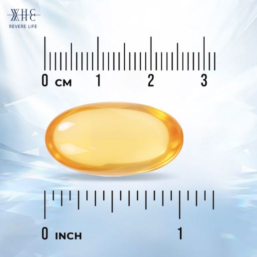 WHC Improve Three Highs & Brain Health 95% High Purity Fish Oil + Vitamin D3 (60 capsules) — authentic Hong Kong health & beauty