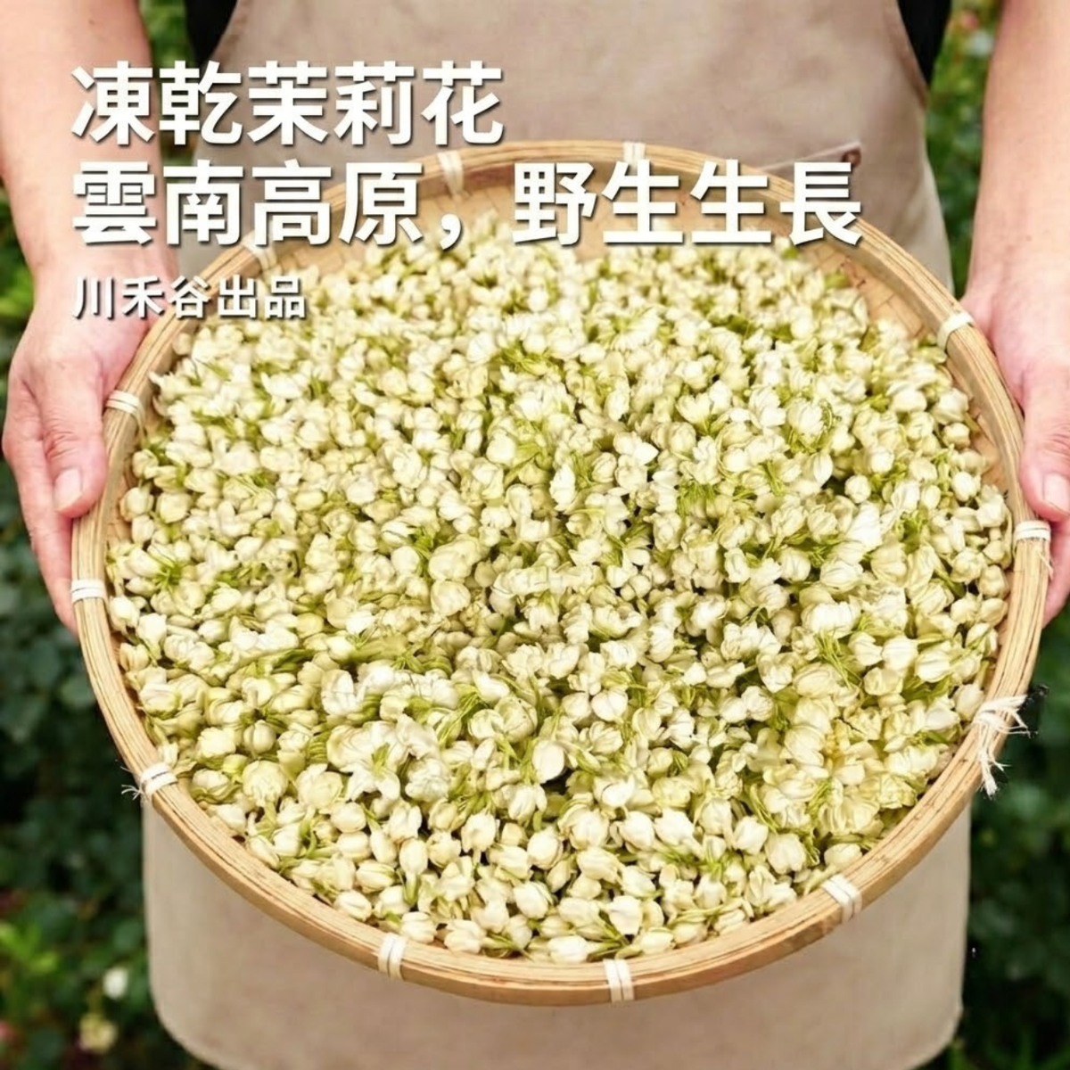 川禾谷 20g Yunnan Plateau Freeze Dried Jasmine #Jasmine Tea #JasmineFlower — authentic Hong Kong health & beauty